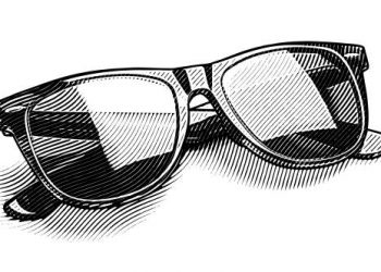 A VENDRE – LA BOITE A LUNETTES – CHEF BOUTONNE